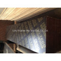 20mm*610*2500 Brown Film Faced Plywood Poplar Core WBP Glue